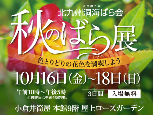 秋のばら展 入場無料 小倉井筒屋で開催中 10 18まで みさみさぶろぐ